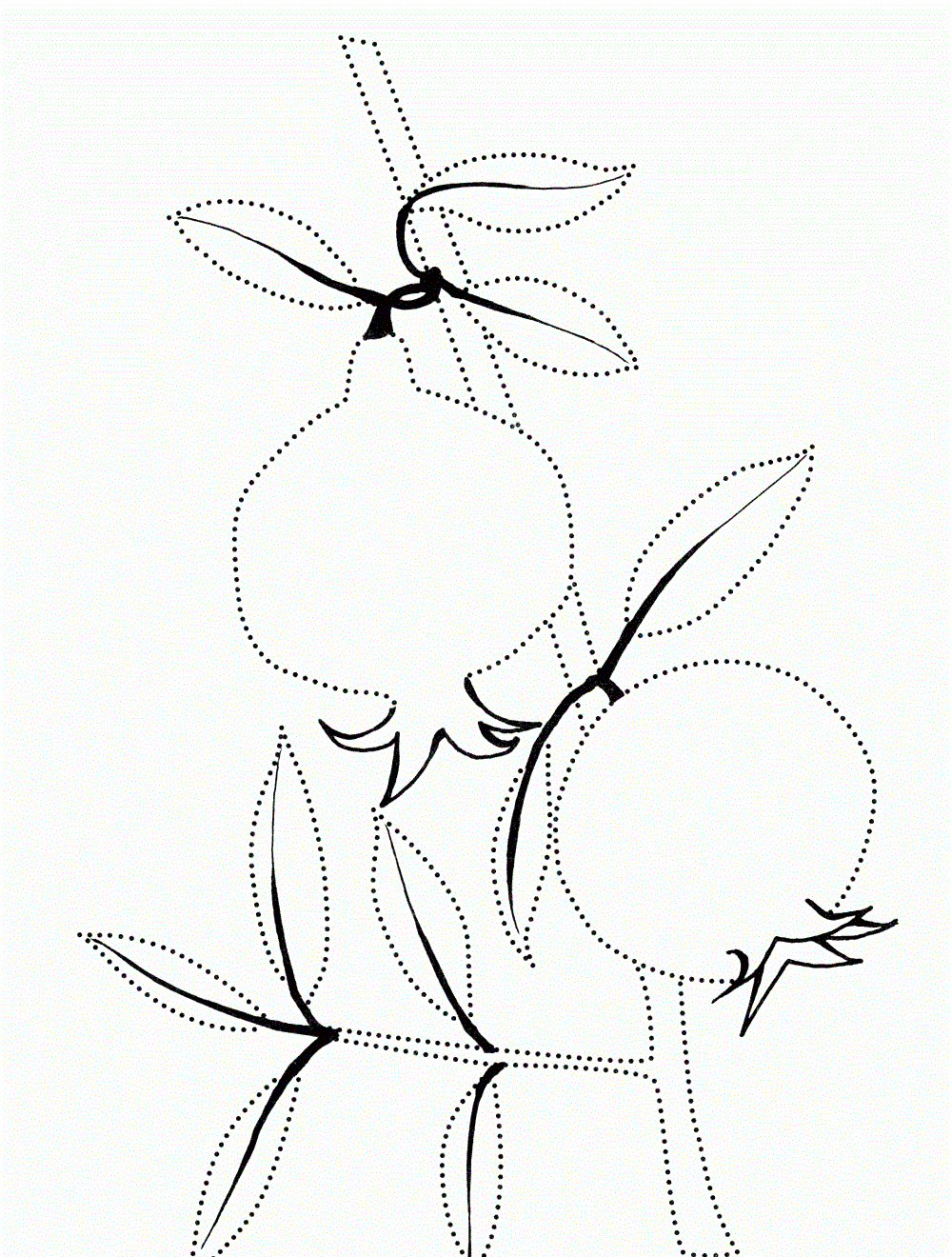 Coloring book two grenades on a twig Coloring book two grenades on a twig